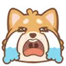 表情[B站/74.gif]